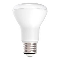 Beautiful Light Technology Corp.
